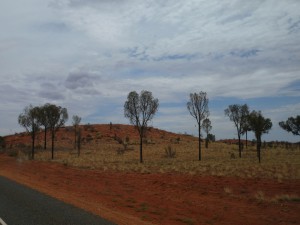 Landschaft am Lasseter Highway, Highway zum Uluru