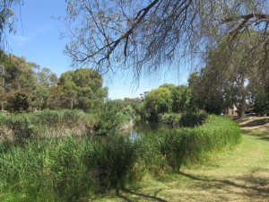 Adelaide, River Torrens, 12.12.15